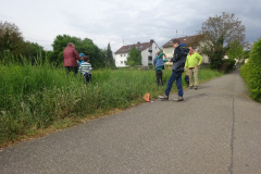 Projekt-Den-Insekten-auf-der-Spur-2026020