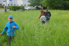 Projekt-Den-Insekten-auf-der-Spur-2026022