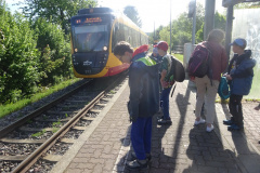 Projekt-Den-Insekten-auf-der-Spur-2026055
