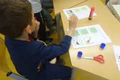Projekt-Den-Insekten-auf-der-Spur-2026100