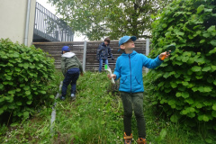 Projekt-Den-Insekten-auf-der-Spur-2026111