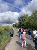 Projekt-Sommer-und-Schritte-um-OD-2026009