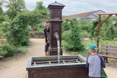 Projekt-Sommer-und-Schritte-um-OD-2026004