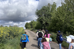 Projekt-Sommer-und-Schritte-um-OD-2026009