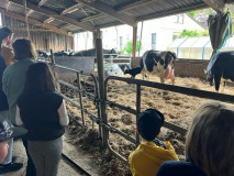 Projekt-Tiere-und-mehr004