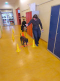 Projekt-Tiere-und-mehr008