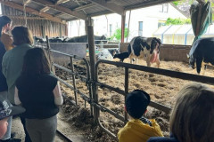Projekt-Tiere-und-mehr004