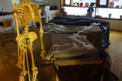 Halloween-2025010