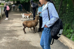 Projektwoche-Ausfluege-zum-Thema-Tiere2025006