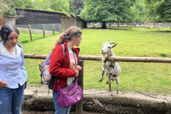 Projektwoche-Ausfluege-zum-Thema-Tiere2025023