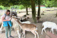 Projektwoche-Ausfluege-zum-Thema-Tiere2025028