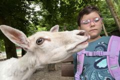 Projektwoche-Ausfluege-zum-Thema-Tiere2025032