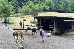 Projektwoche-Ausfluege-zum-Thema-Tiere2025035