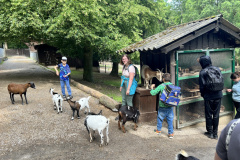 Projektwoche-Ausfluege-zum-Thema-Tiere2025043