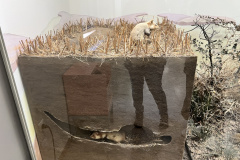 Projektwoche-Ausfluege-zum-Thema-Tiere2025055