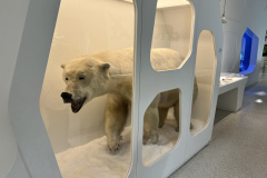 Projektwoche-Ausfluege-zum-Thema-Tiere2025072