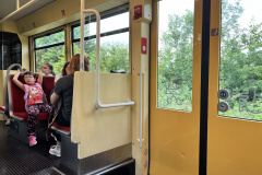 Projektwoche-Ausfluege-zum-Thema-Tiere2025086