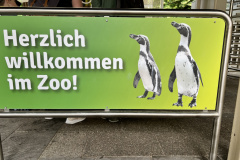 Projektwoche-Ausfluege-zum-Thema-Tiere2025088