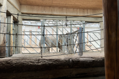Projektwoche-Ausfluege-zum-Thema-Tiere2025109