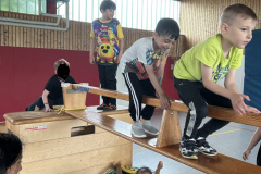 Projekt-Dschungel-2025006
