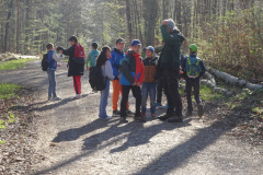 Waldtage2025003
