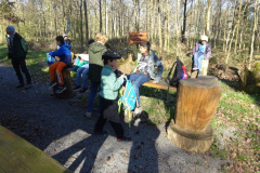 Waldtage2025006