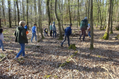 Waldtage2025011