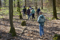 Waldtage2025016