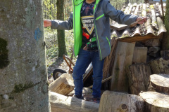 Waldtage2025022