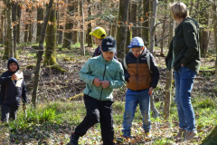 Waldtage2025023