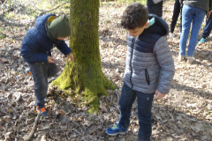 Waldtage2025041