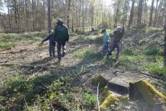 Waldtage2025050