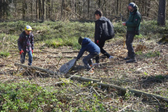 Waldtage2025053