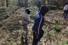 Waldtage2025060