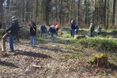 Waldtage2025061