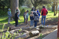 Waldtage2025071