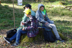 Waldtage2025095